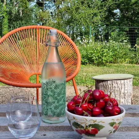 Bed & Breakfast L 'aupinouse Double Pivoine Avec Salle D'eau Privative 3*
